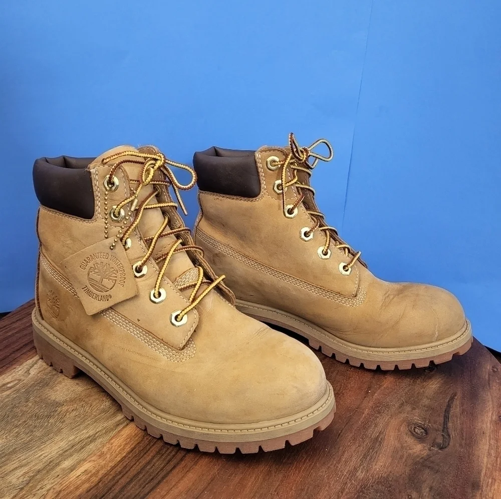 Classic Timberland Waterproof 6